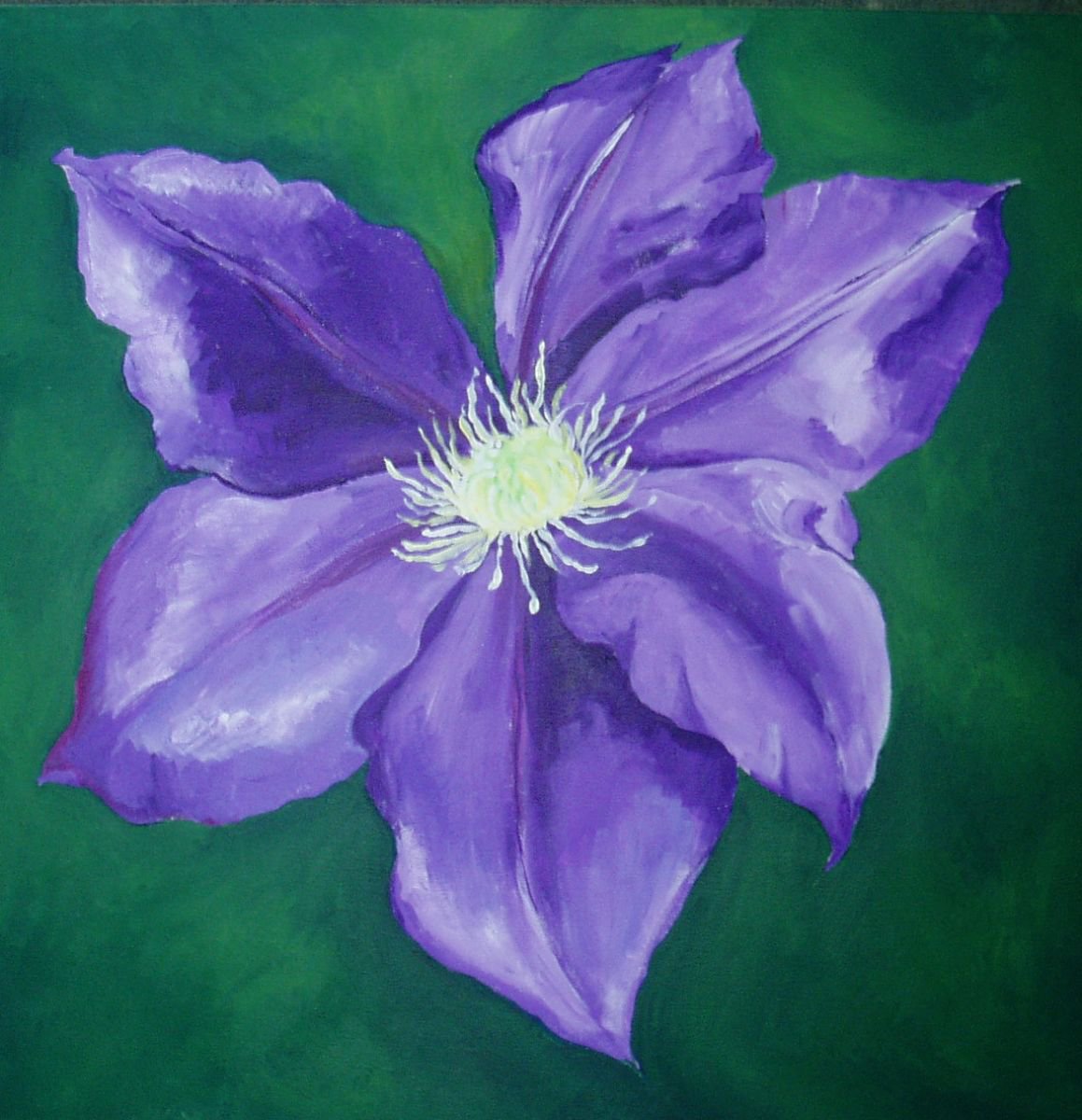 Purple Clematis by Charlie Davies