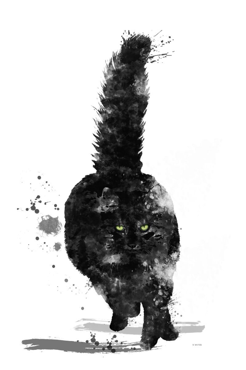 Black Maine Coon Cat by Marlene Watson