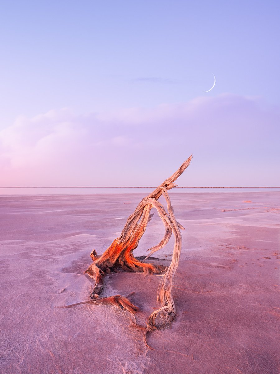 Abstract Landscape Photograph By Nick Psomiadis, 35 X 47", Timeless, Original Artwork