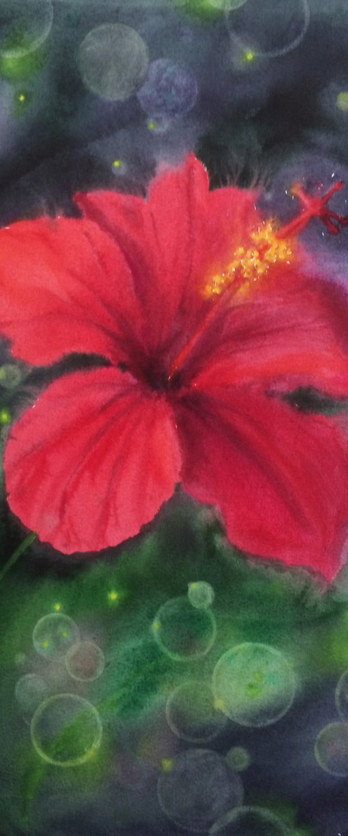 Red Chinese hibiscus - red flo by Olga Beliaeva Watercolour