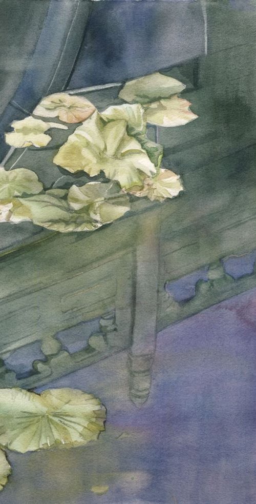 Lotus pond reflection by Alfred Ng