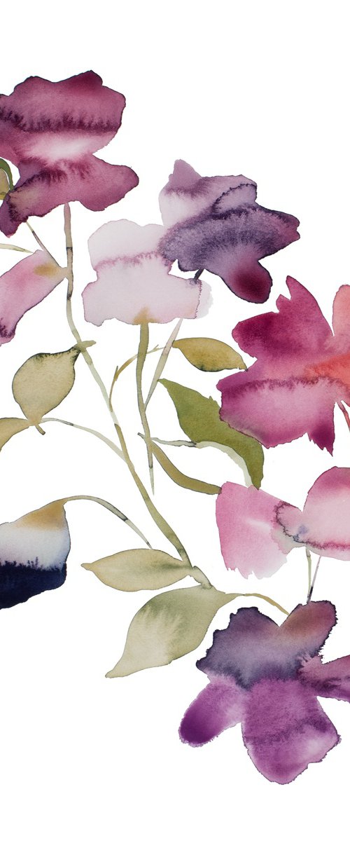 Rose Study No. 83 by Elizabeth Becker