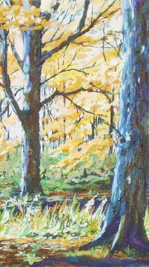 Trees in Autumn by Max Aitken