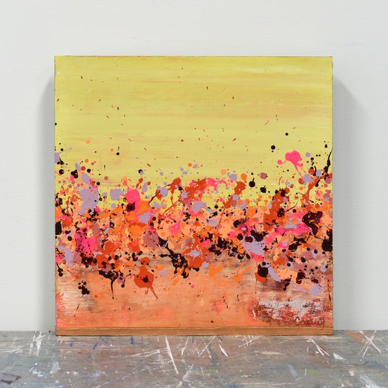 Sunkist Coral 3