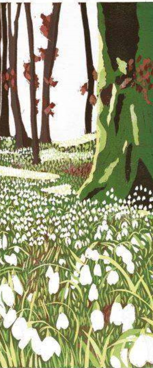 Snowdrop Woods by Joanne Spencer