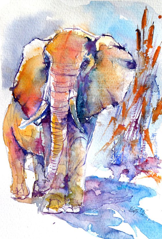 Elephant