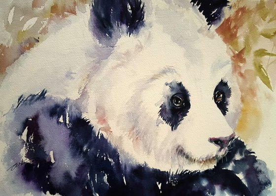 Dudley the Panda