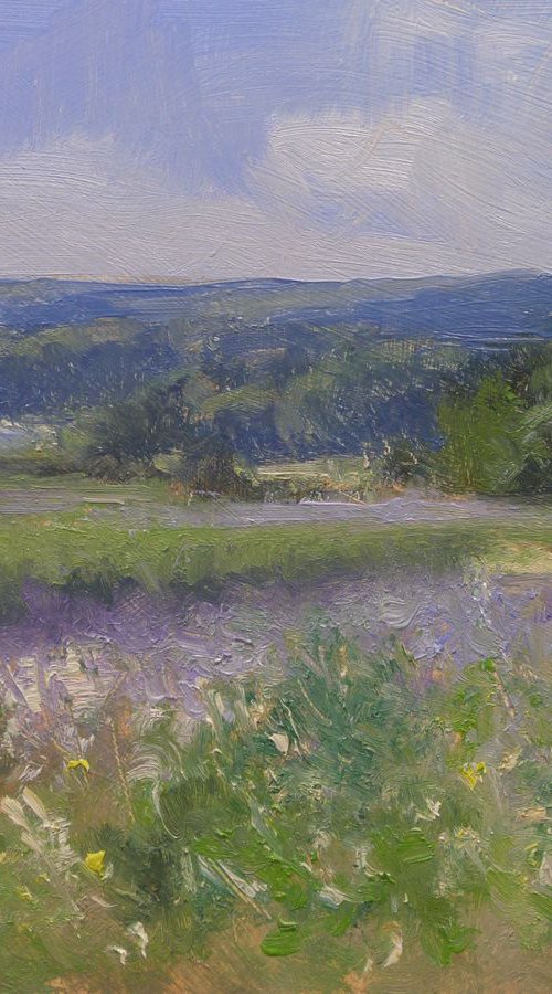 Countryside near Taulignan (Provence - France) by Pascal Giroud