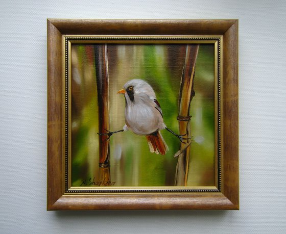 Charming Bird Oil Painting