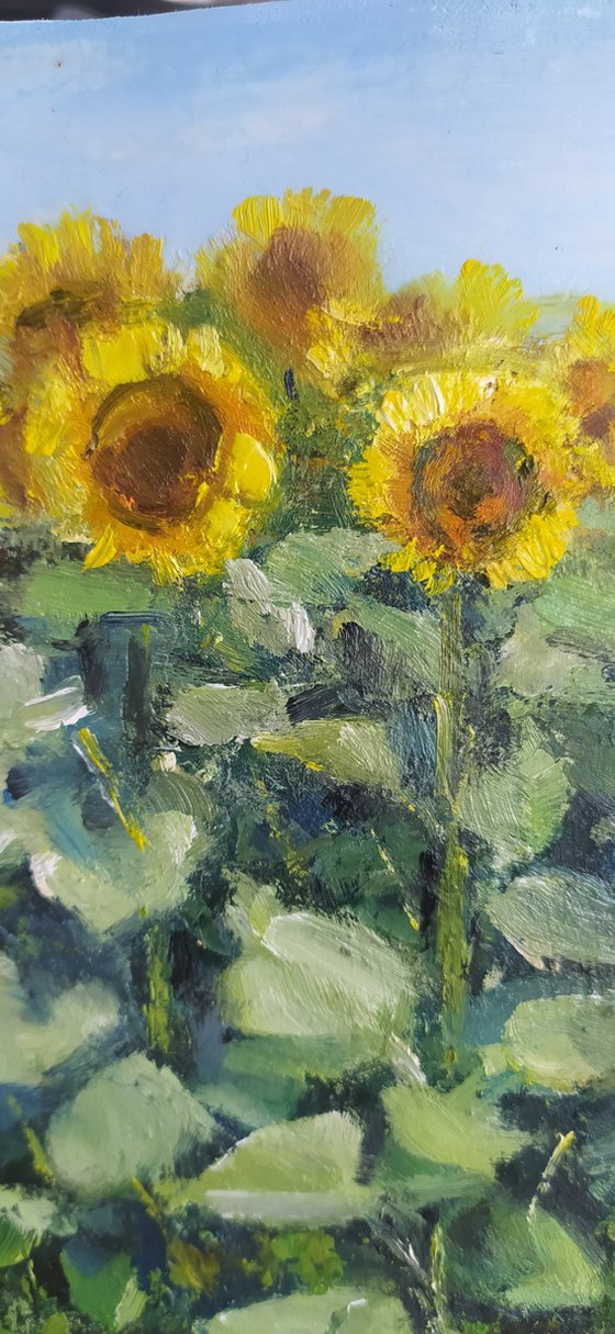 Landscape with sunflowers