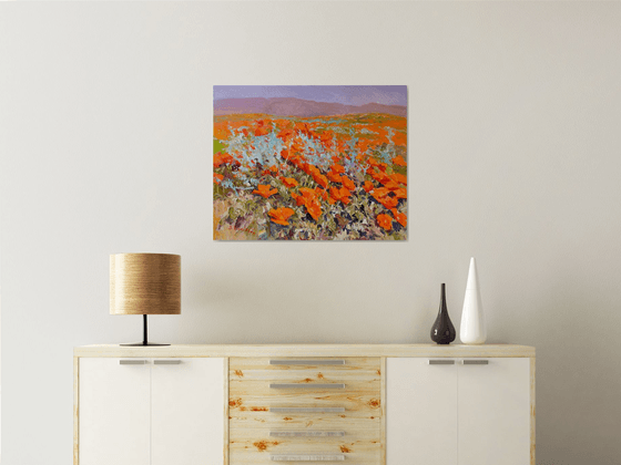 California Poppies