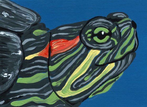 ACEO ATC Original Miniature Painting Red Ear Slider Pet Turtle Wildlife Art-Carla Smale