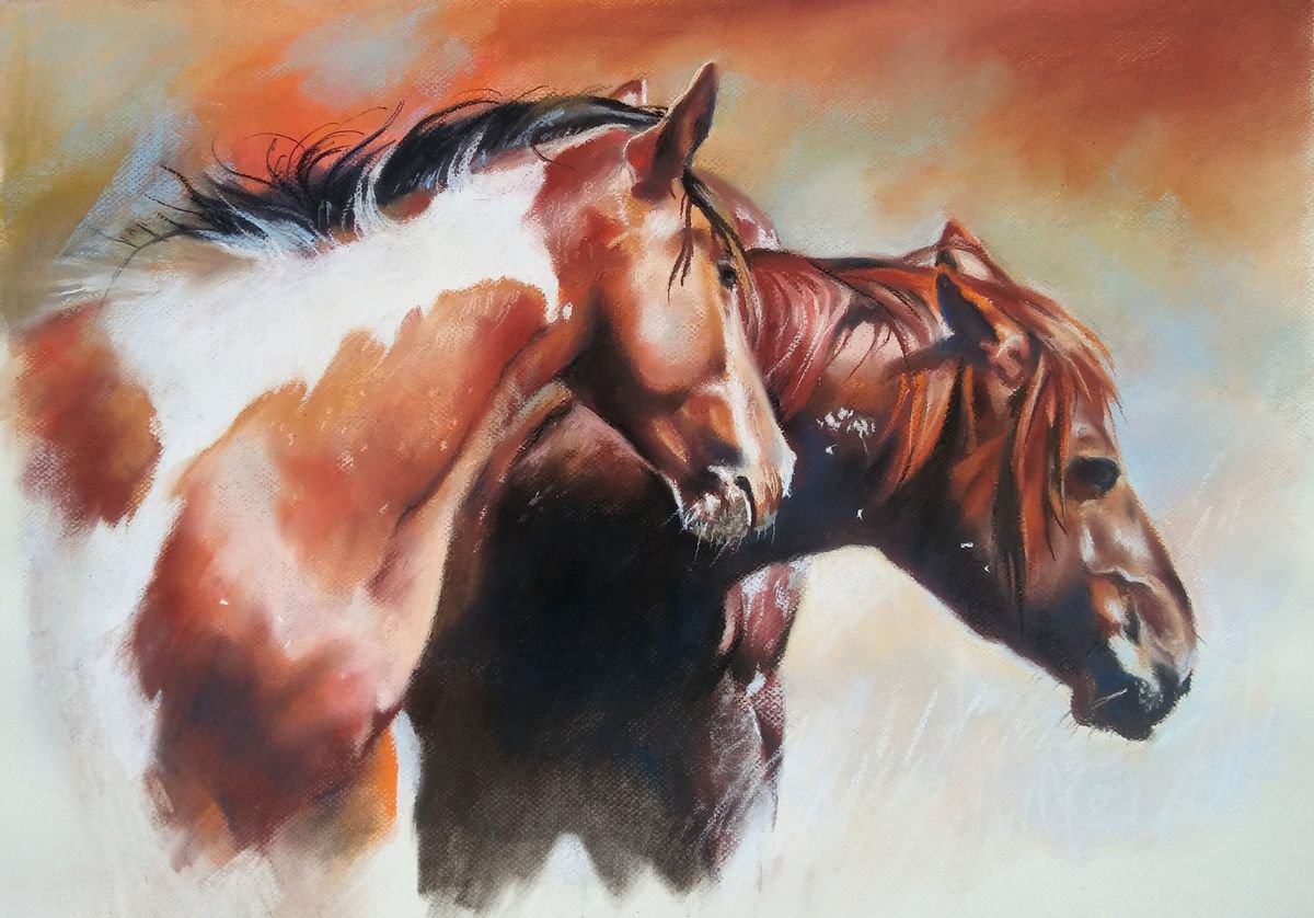 Mustangs by Magdalena Palega