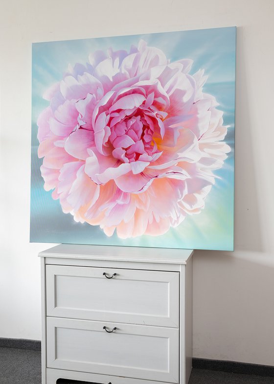 Spring peony