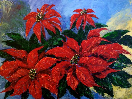 Poinsettia