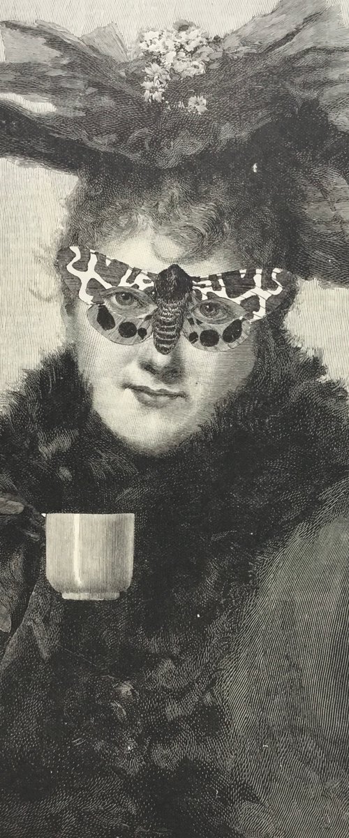 Eyes and butterflies by Tudor Evans