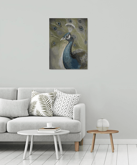 Portrait of a Peacock