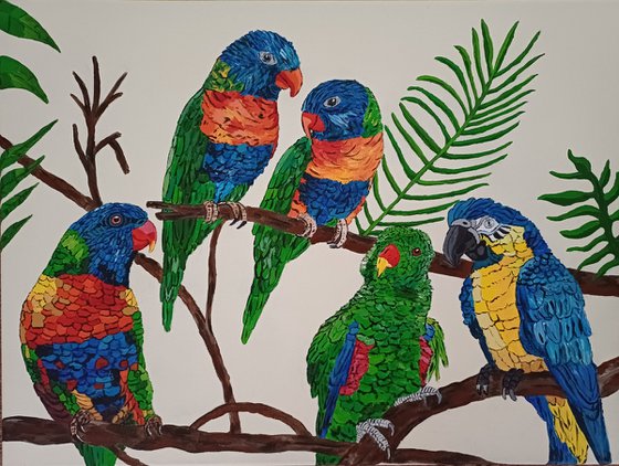 Parrots
