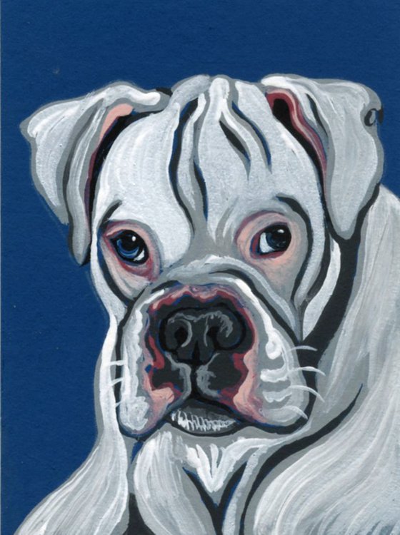 ACEO ATC Original Miniature Painting  Boxer Pet Dog Art-Carla Smale