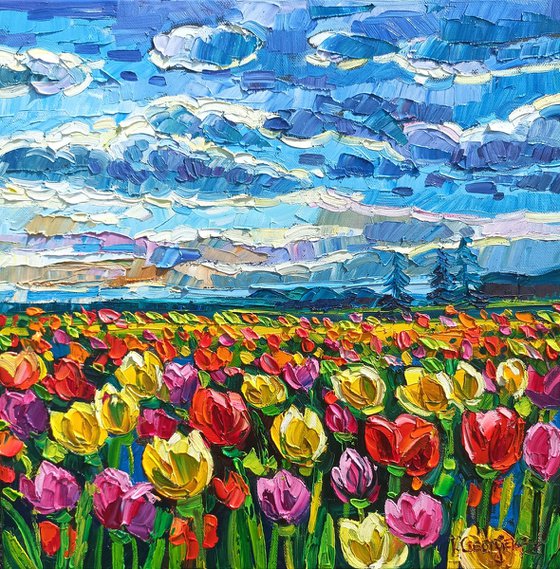 Tulips field