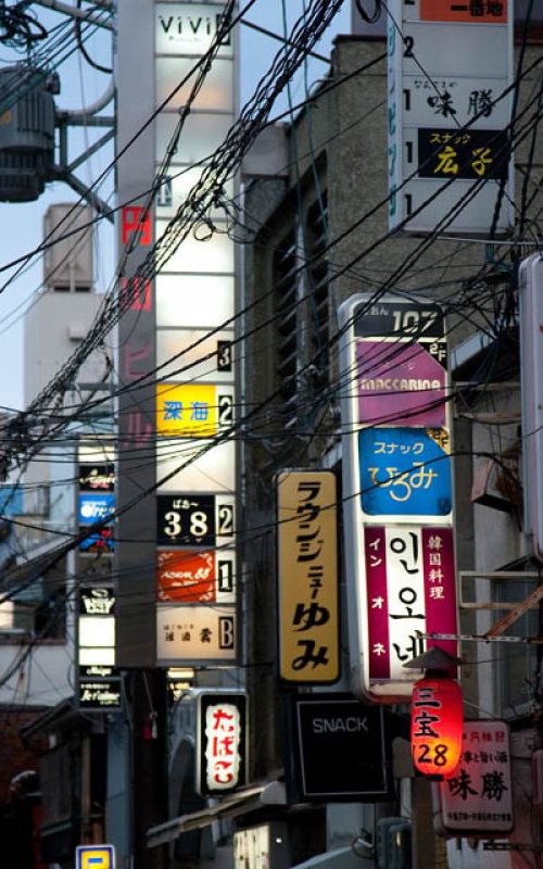 Kyoto Wires by Paula Smith