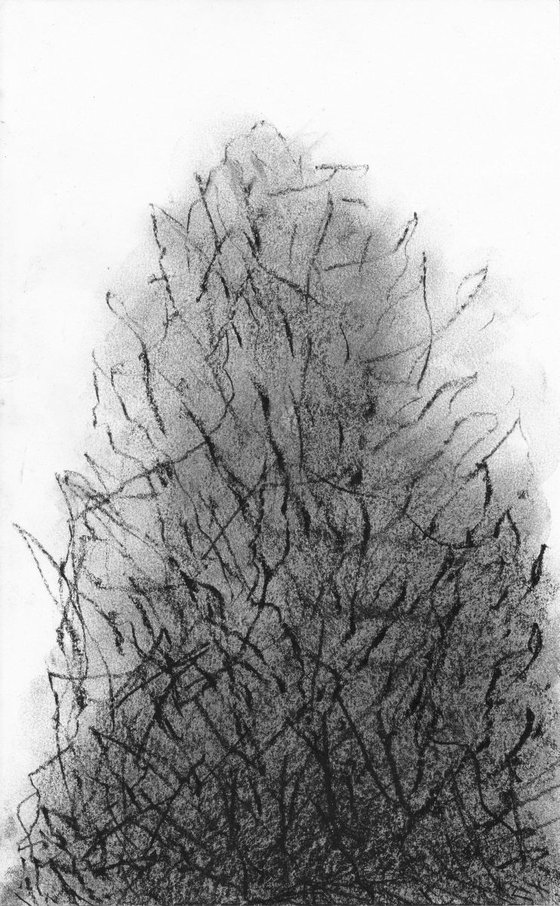 Etude silhouette d'arbre - sketch
