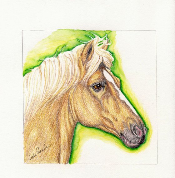 Palomino Pet Horse Art Original Drawing-Carla Smale