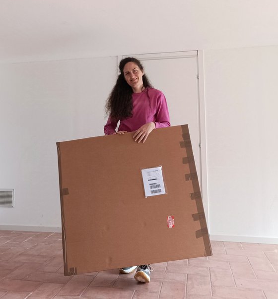 Water lilies reflections