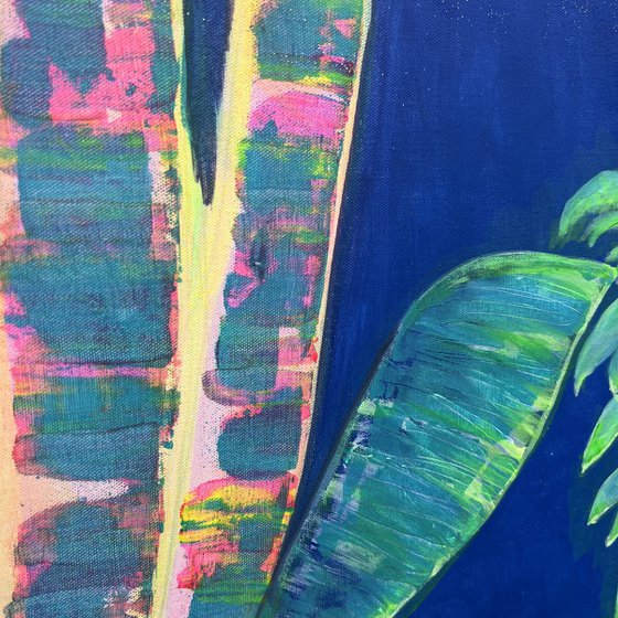 ‘Nightfall Glowpool’