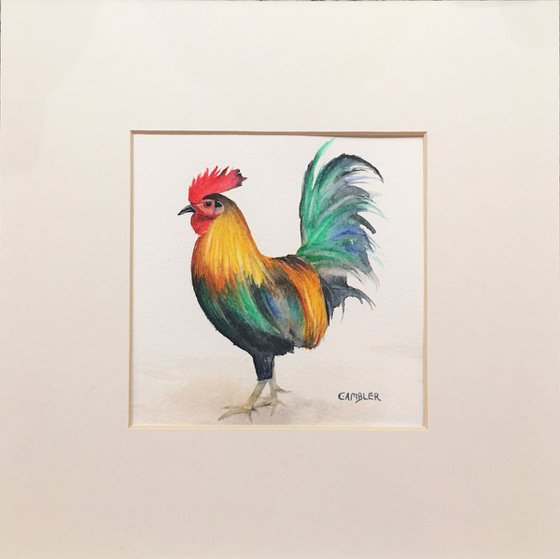 Colourful Cockerel - Small Watercolour