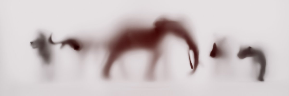 Abstract Animal Photograph By Sven Pfrommer, 59 X 20", Wild Lens - Big Five Ii, Original Artwork
