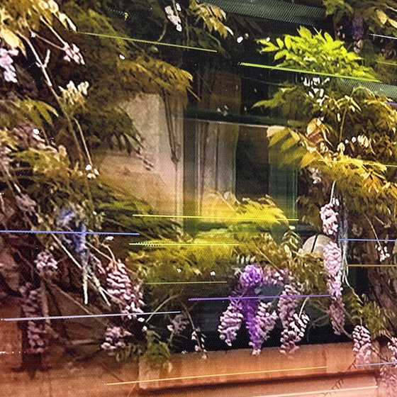Au Vieux Paris d'Arcole