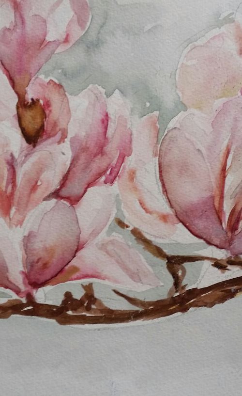 Magnolia by Els Driesen