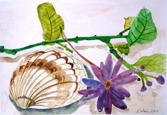 Shell with purple flower.