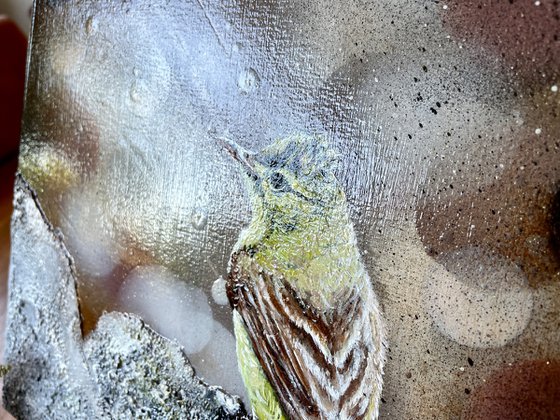 Bird #10 (icterine warbler)