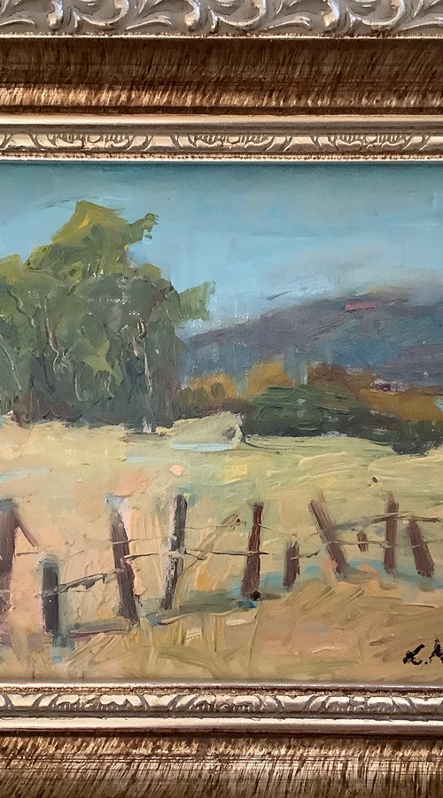 Behind the  Fence by Lia Matevosyan Haselton