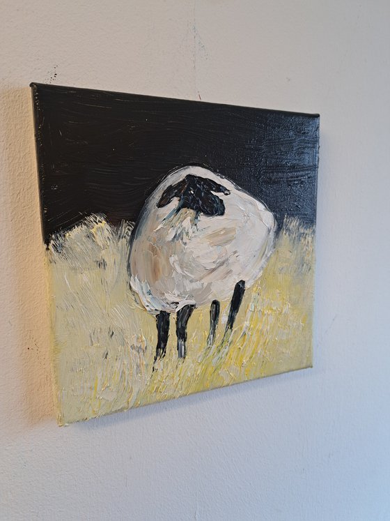 Sheep portrait