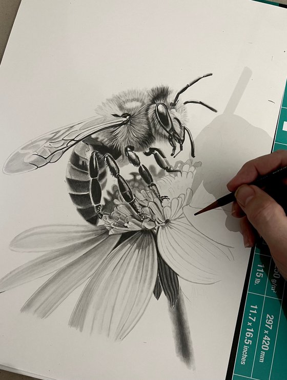 Bee in Pencil #4