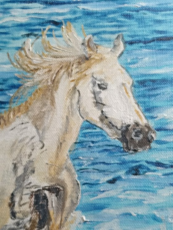 Horses and sea