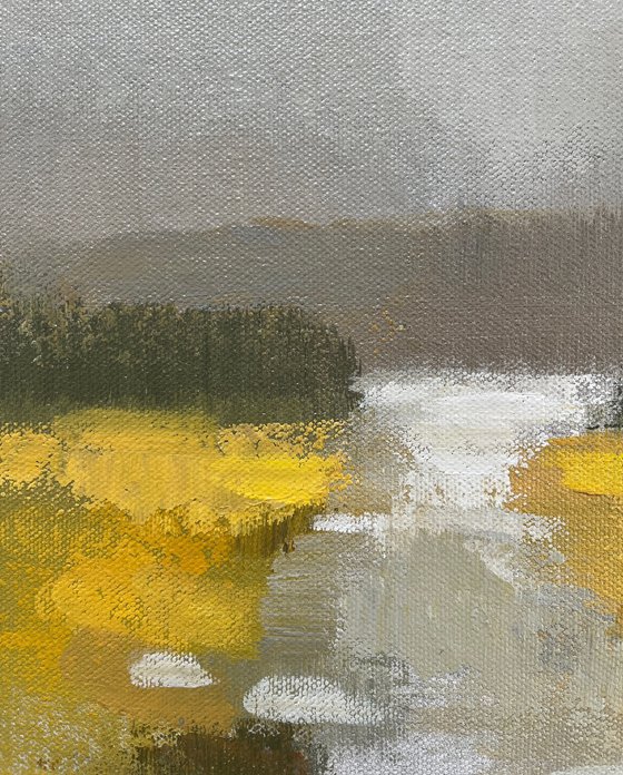 Fog and Golden Fields