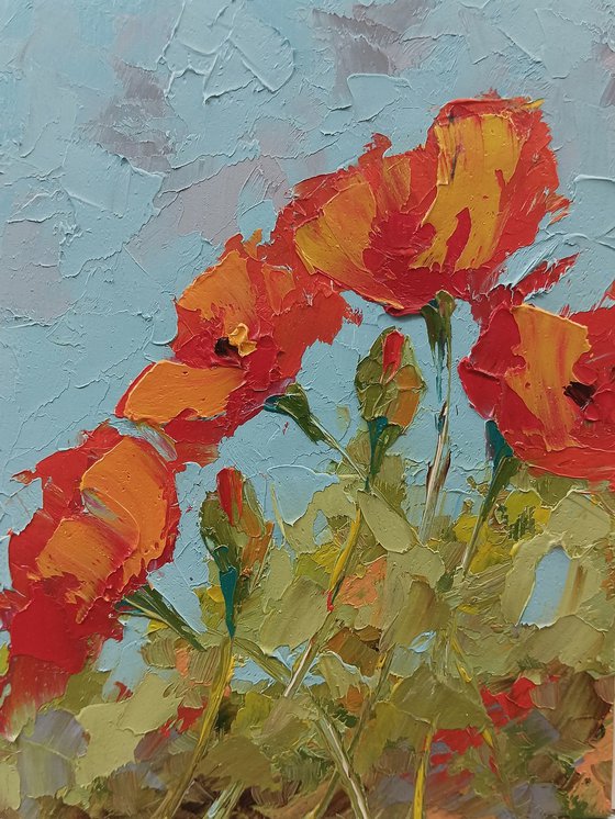 Red poppy flowers in the field. Small format art