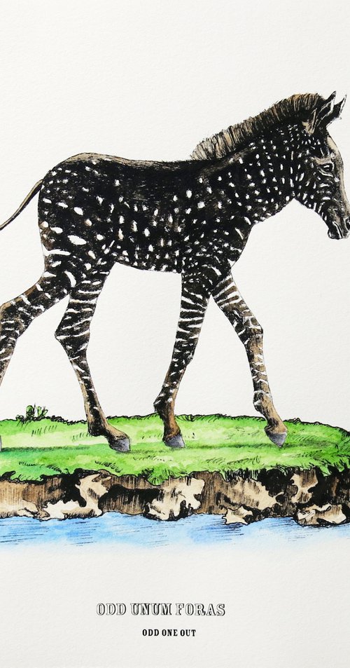 Disrupters (Spotty Zebra Foal) by Anna Walsh