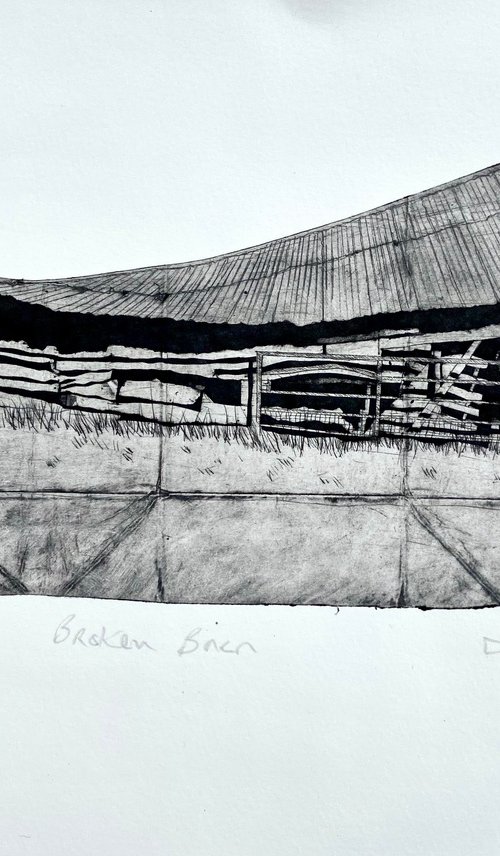 Broken Barn by Drusilla Cole