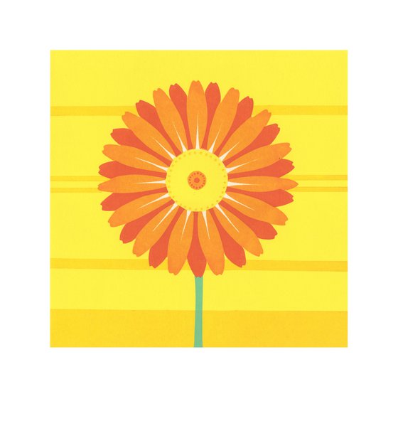 Gerbera