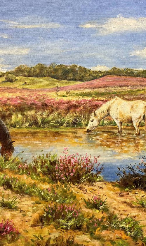 Water Hole below Sloden, New Forest by Peter Frost