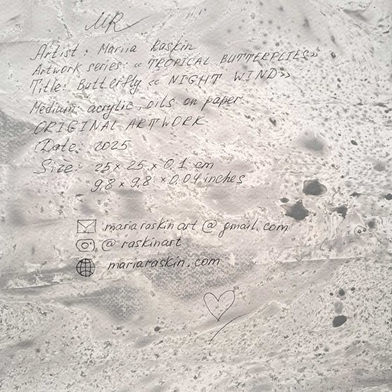 Butterfly «Night Wind»