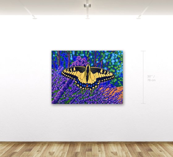 Anise Swallowtail