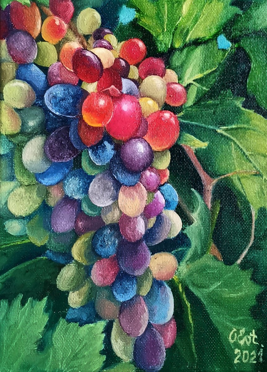 Impressionistic Botanical Oil Painting By Oksana Siciliana, 7 X 9", Sunny Grapes. Sicily, Original Artwork