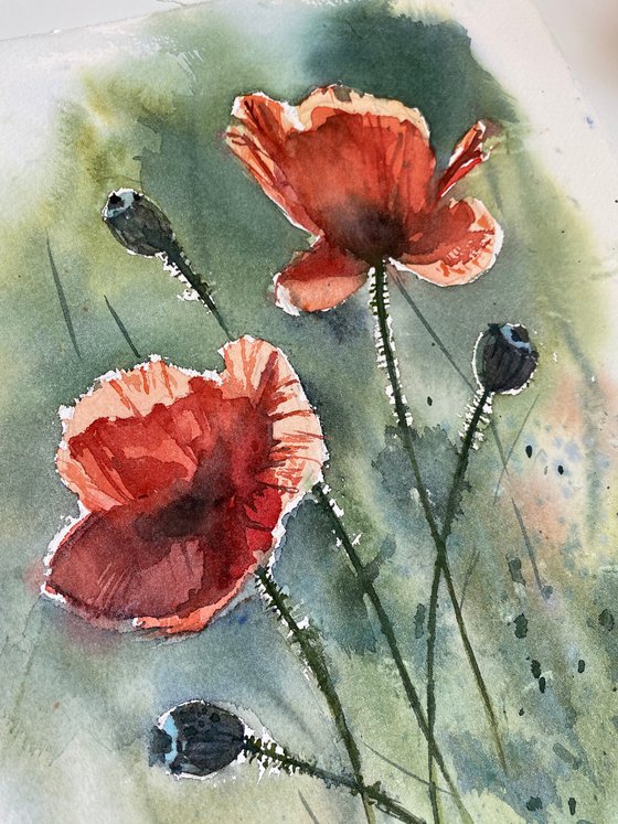Red poppy watercolor painting original artwork gift for her home decor for kitchen