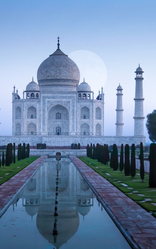 TIMELESS ALLURE by Harv Greenberg